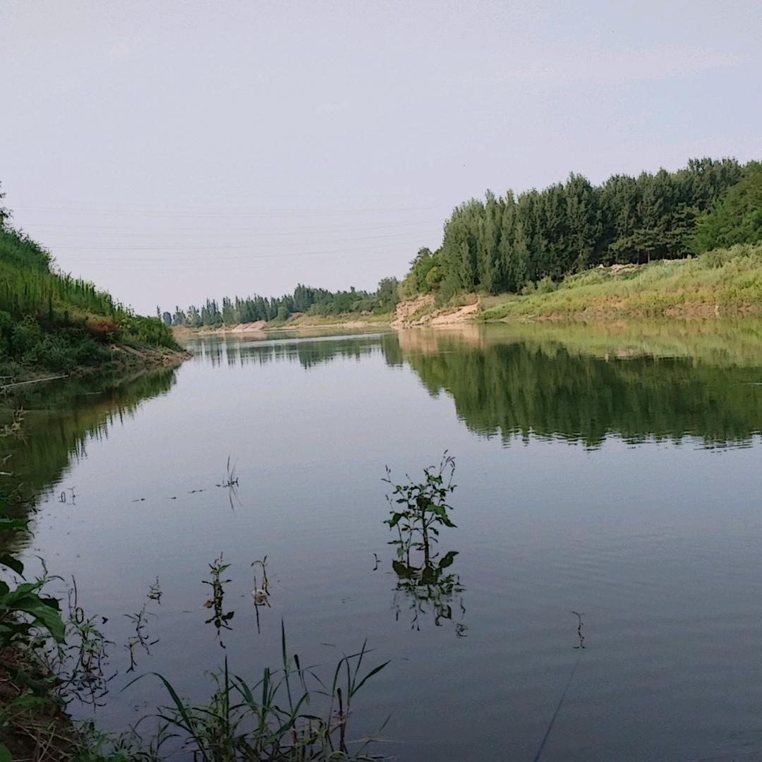 评论界的天花板