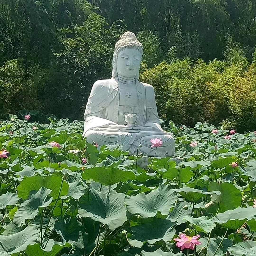 岭哥