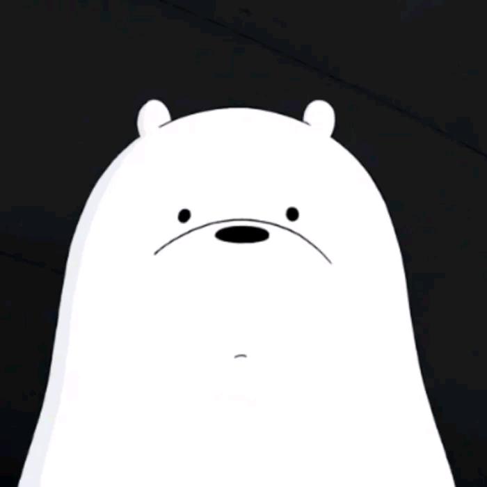 白熊x