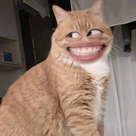 嘻嘻嘻嘻嘻嘻嘻