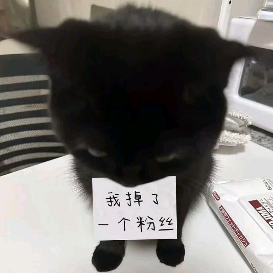 柿子