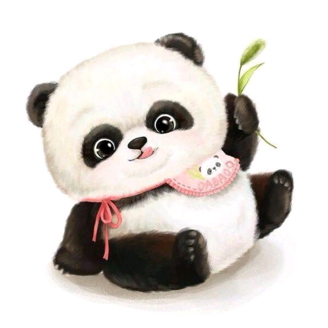 精选+好物