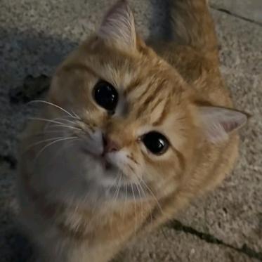 云