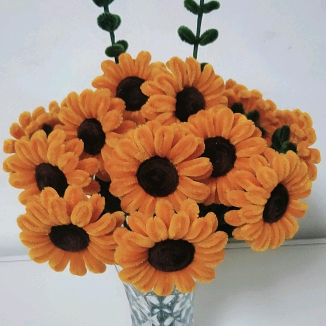 农村丽姐（晚上8：20）（橱窗有好物）