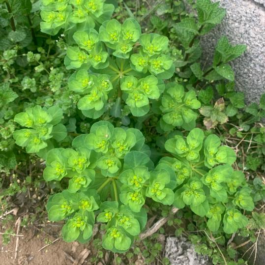 一人、一事、一好梦 ~