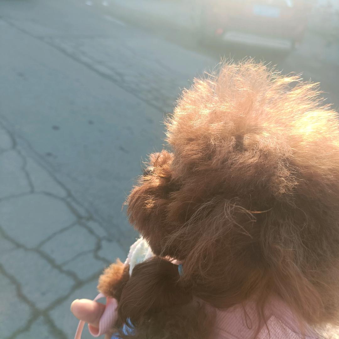 coco.