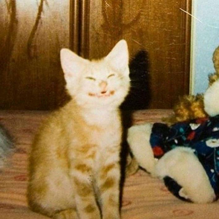 反反复复