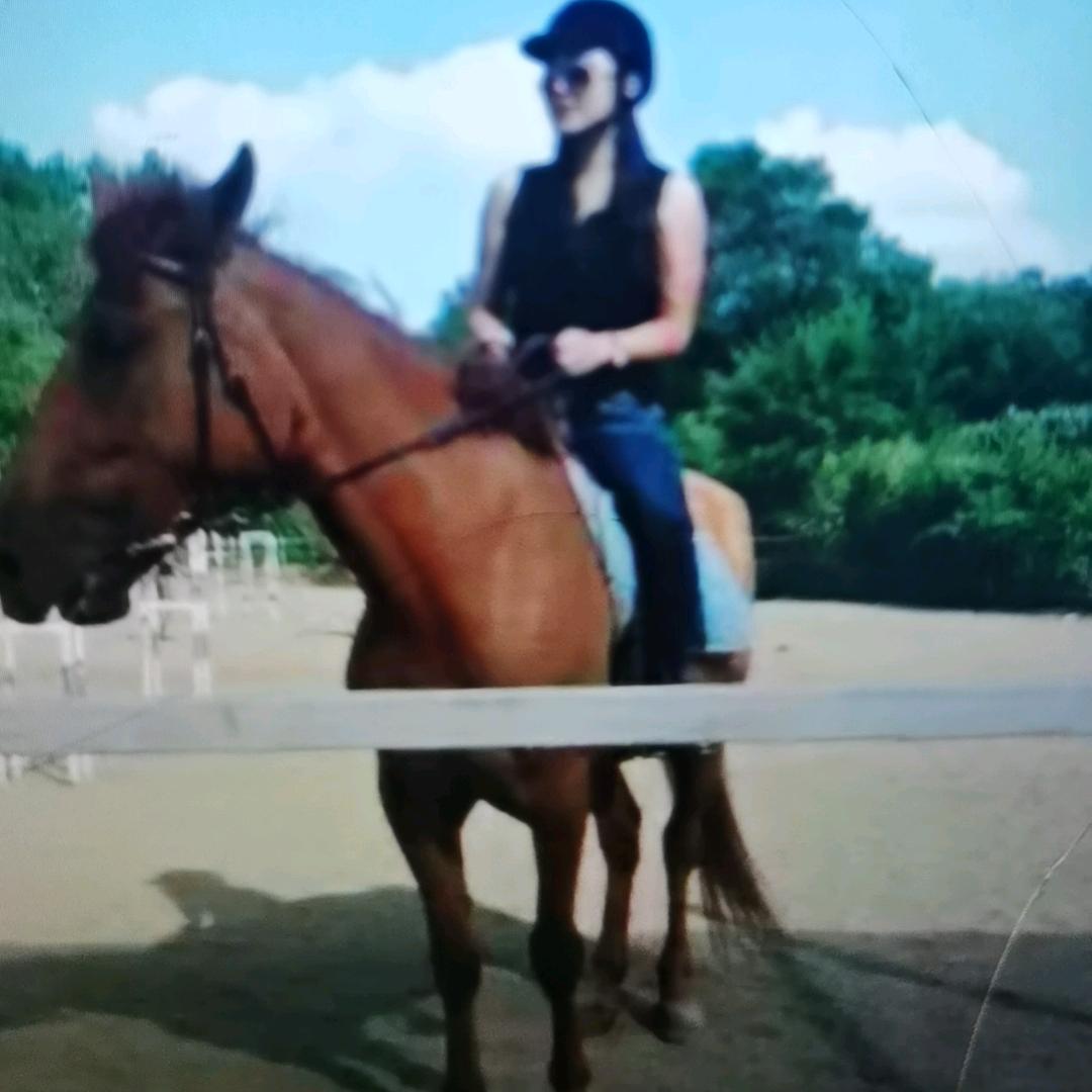 石头 1（男女混合双打厅）