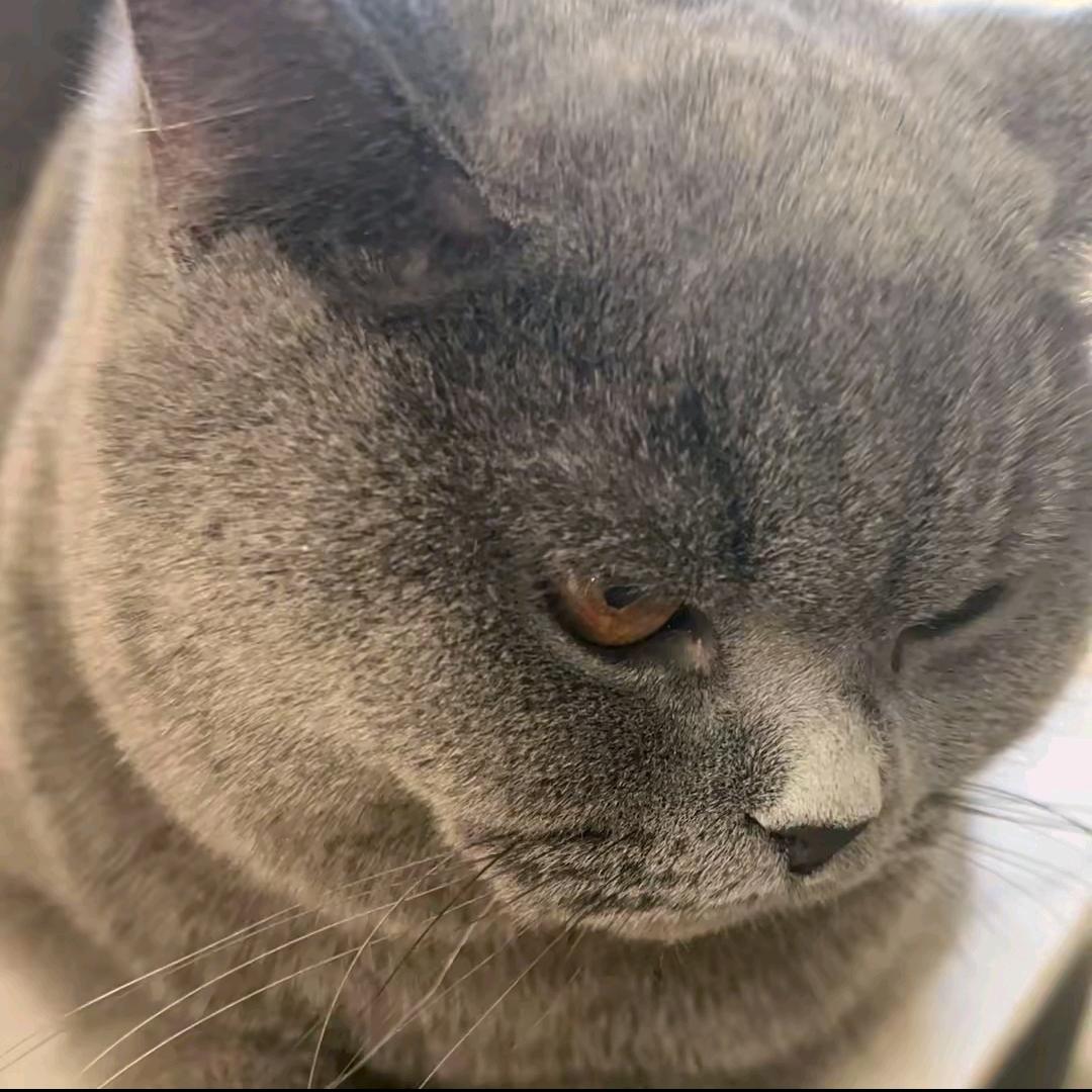 小广努力中❤