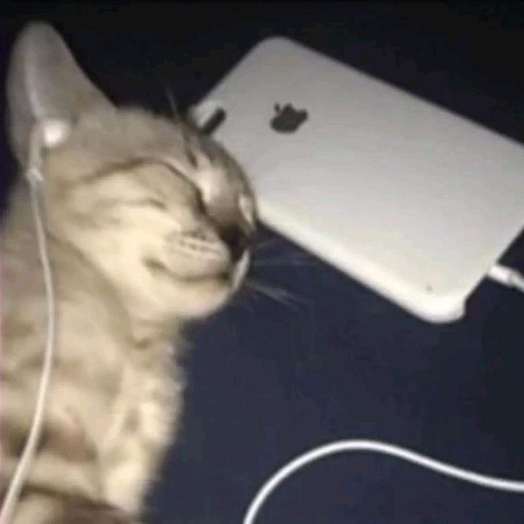 墨染云