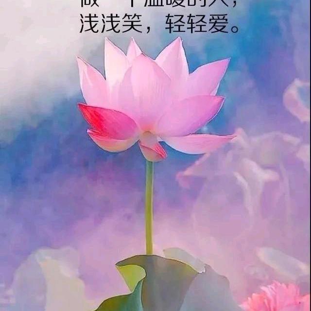 🐲莎月🐲