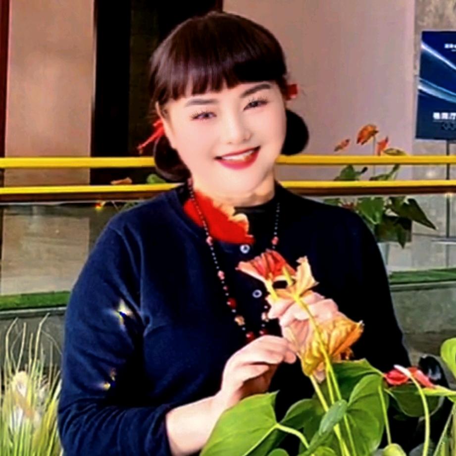 毛毛