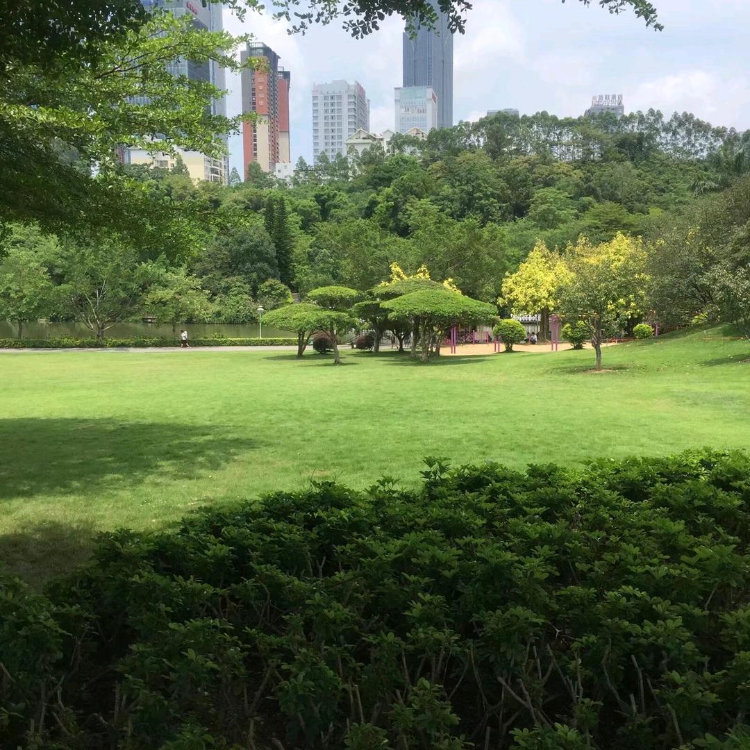 战狼哥
