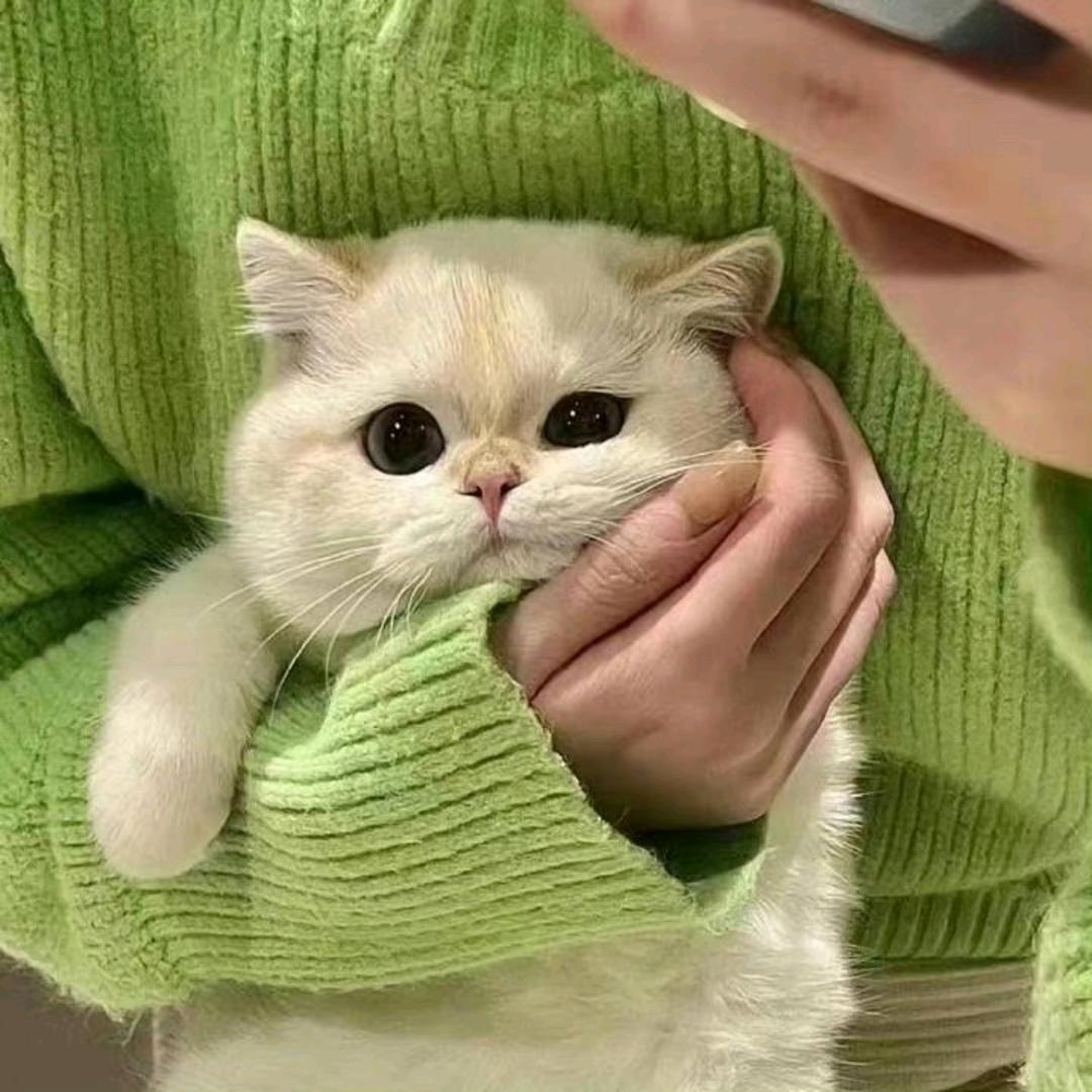 小财