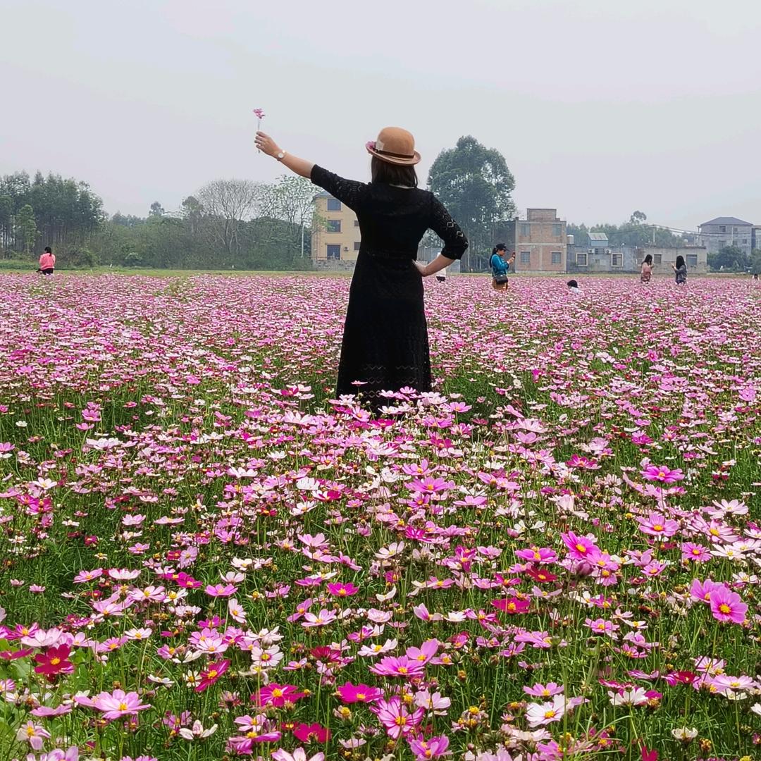 馨梦