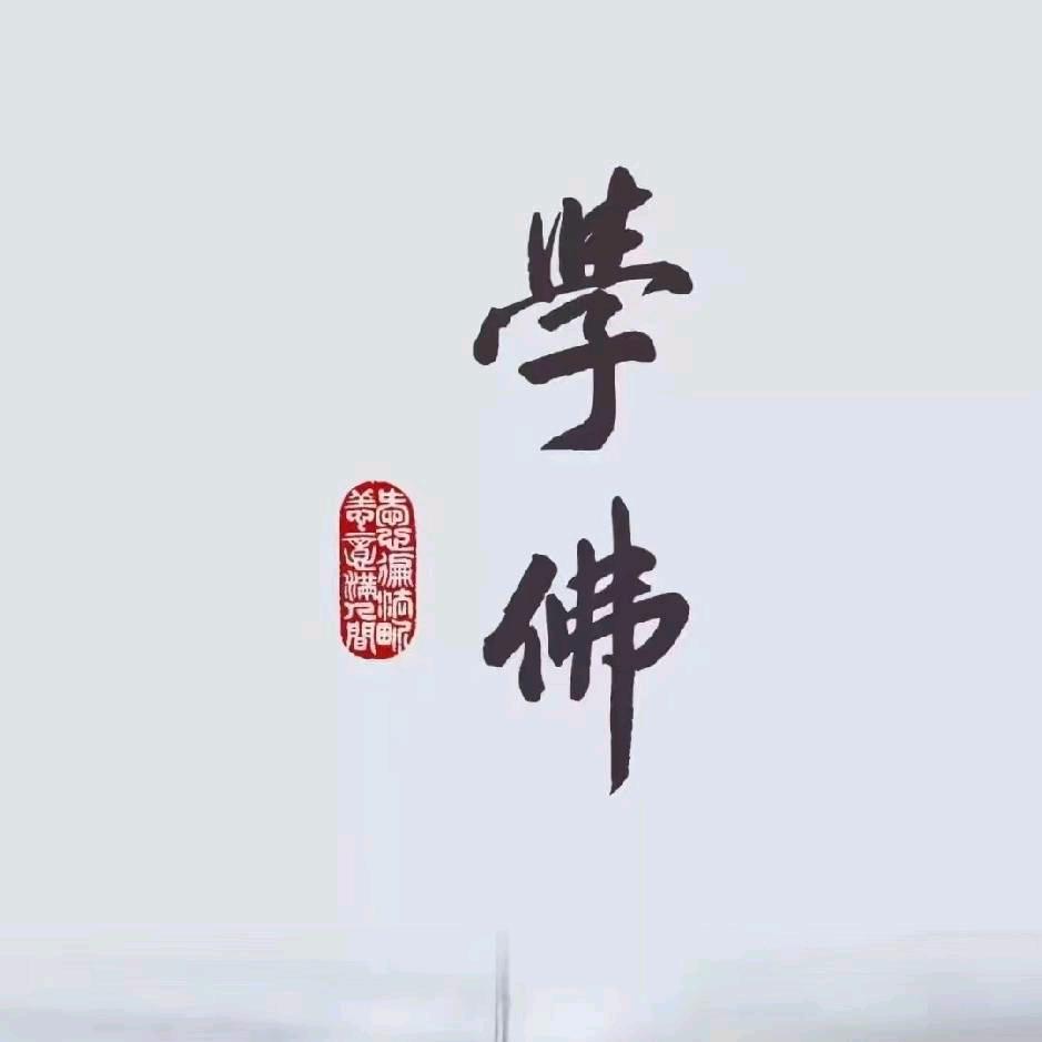 心若禅净