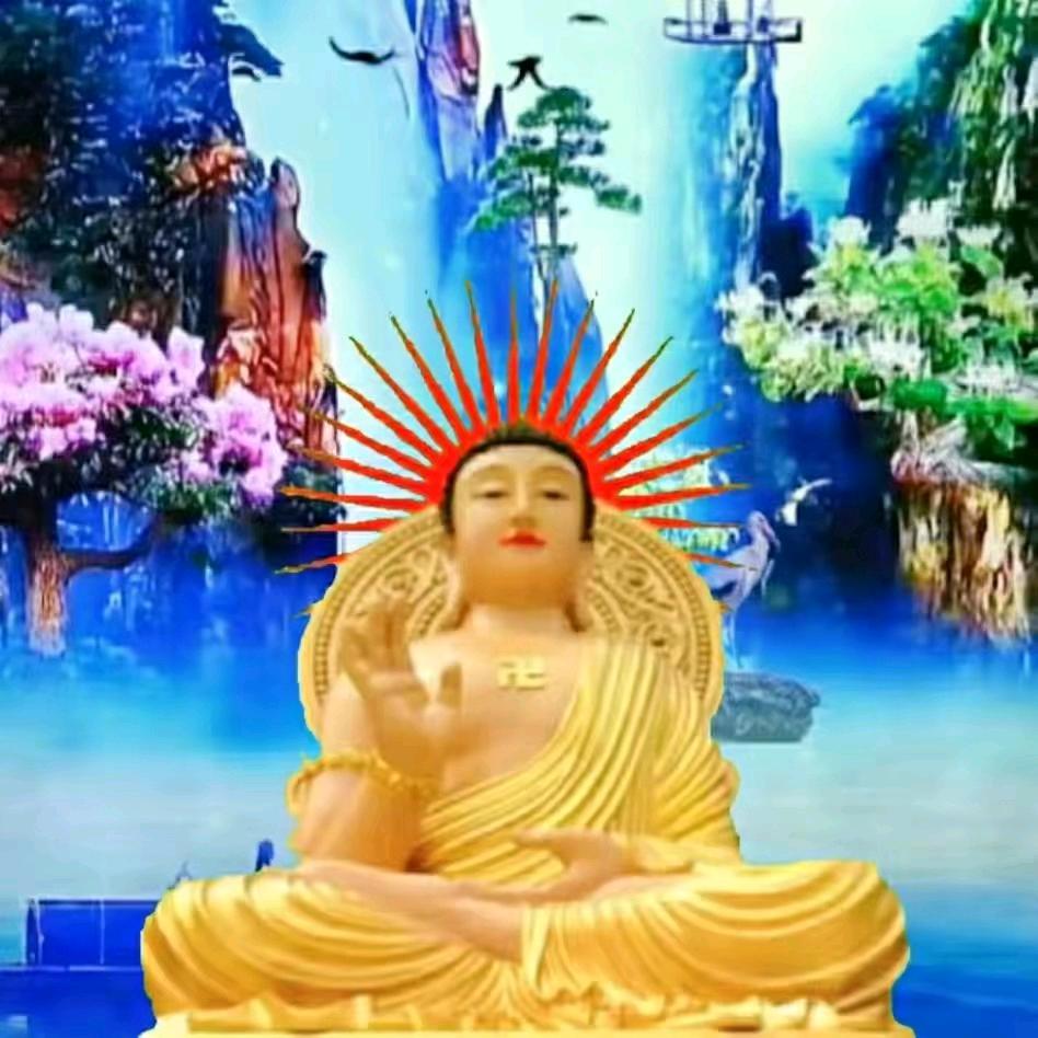 刘老师大实话