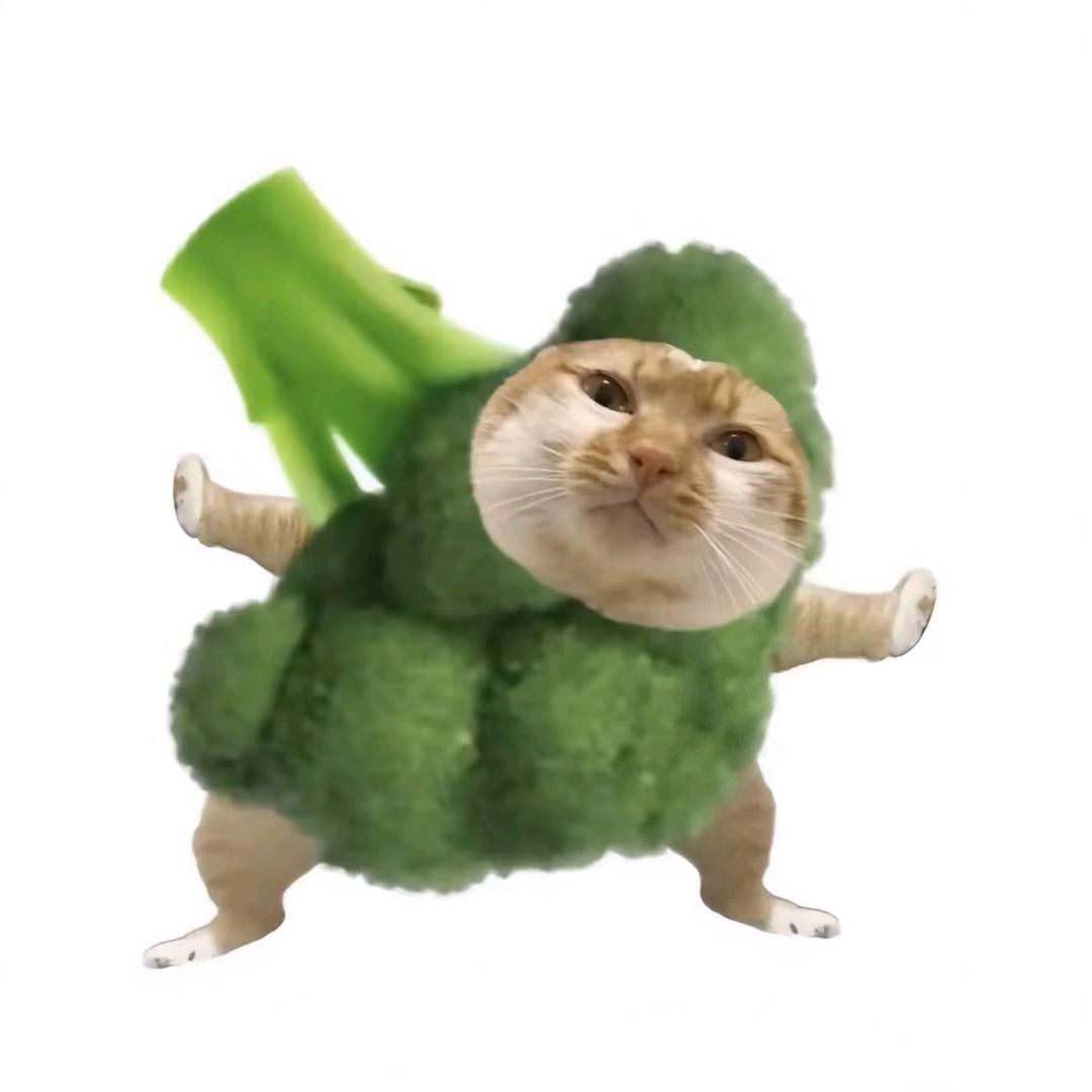 哀家长头发啦
