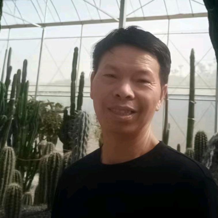 开心