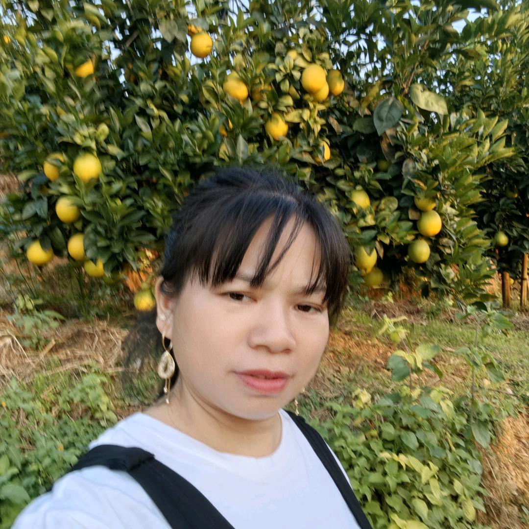 曾发士特产