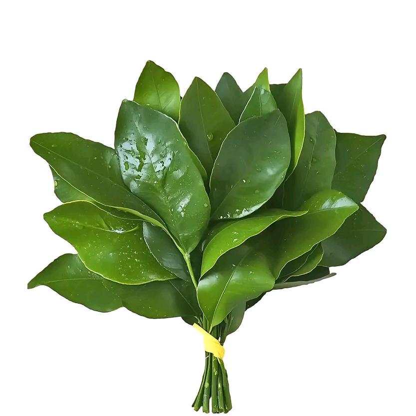 荔枝冰美式🍀