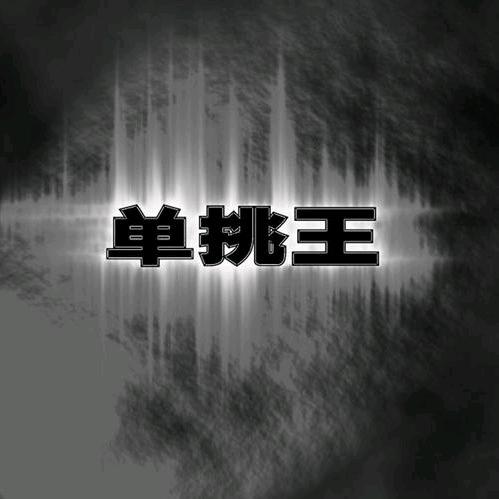 单挑王lolm