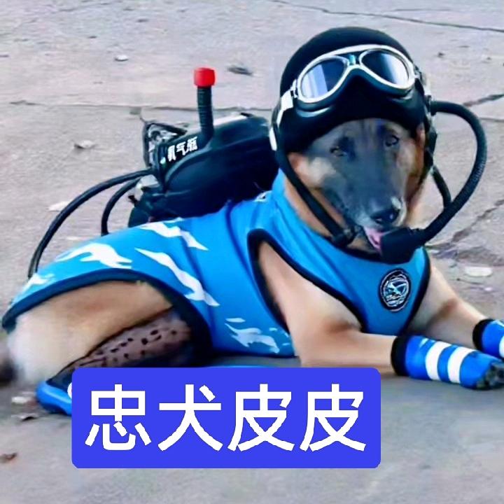 多运多财的皮皮。