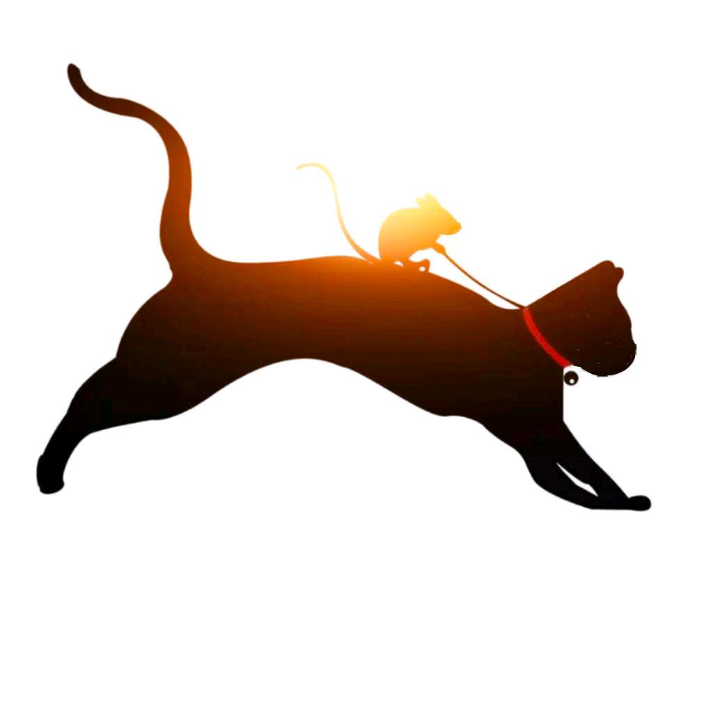 老猫  正好