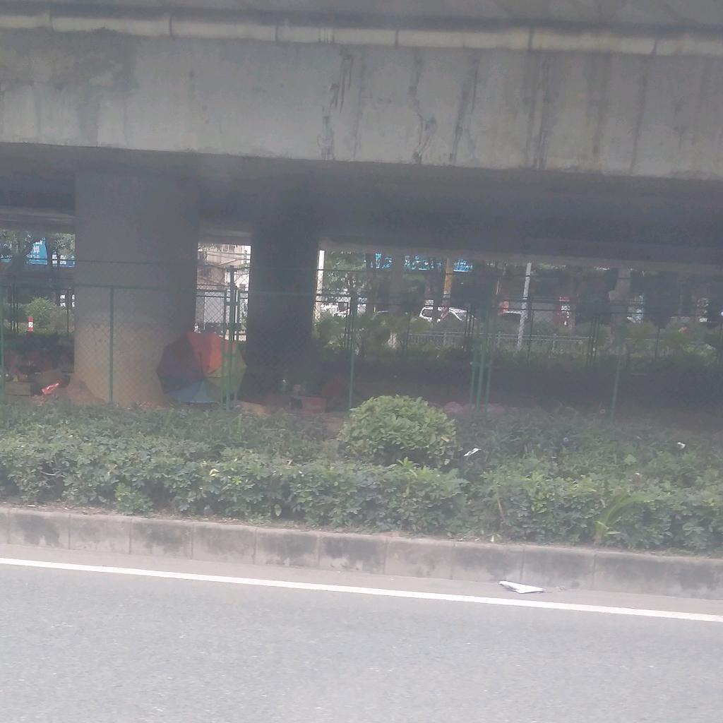 康哥睡大街