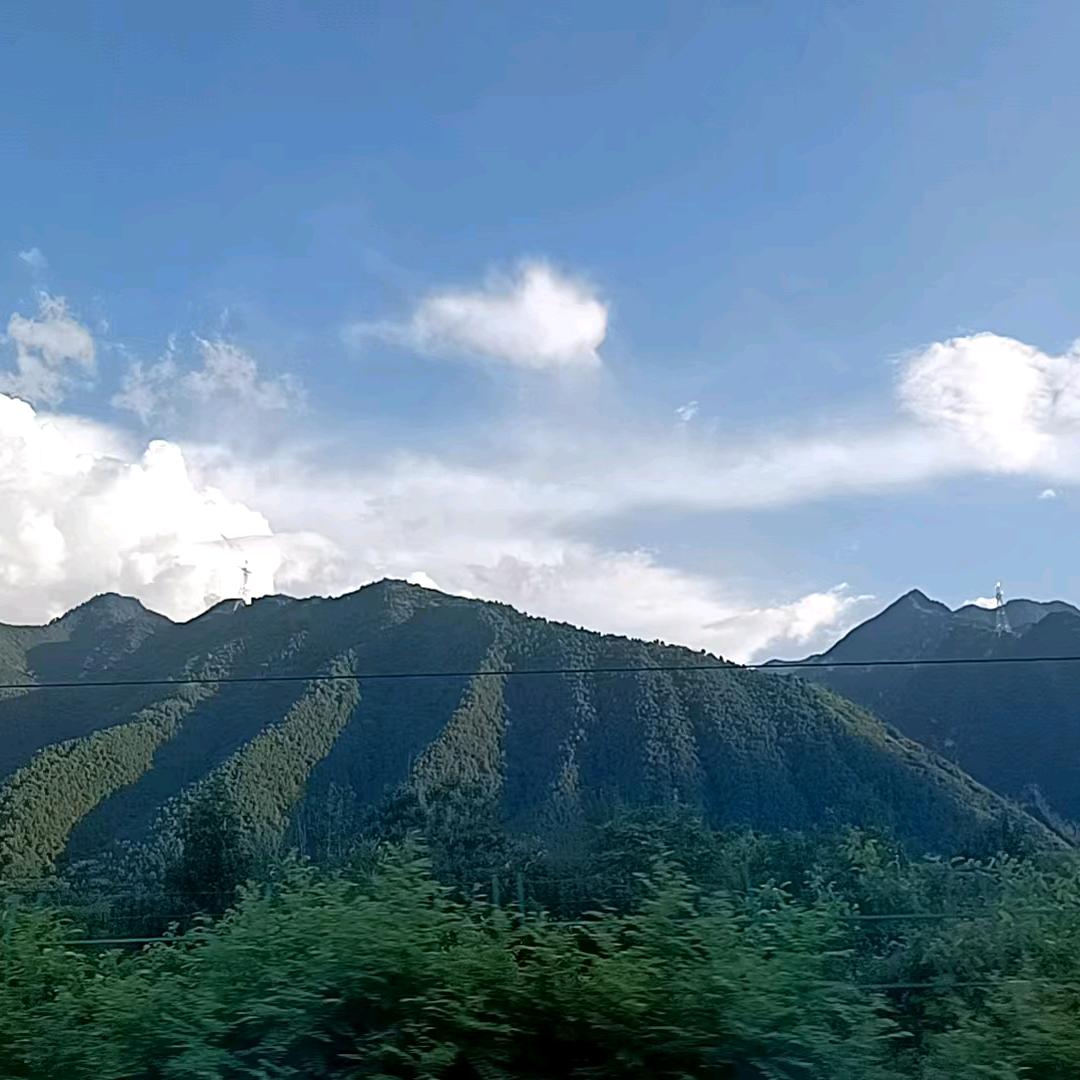 鹏鹏