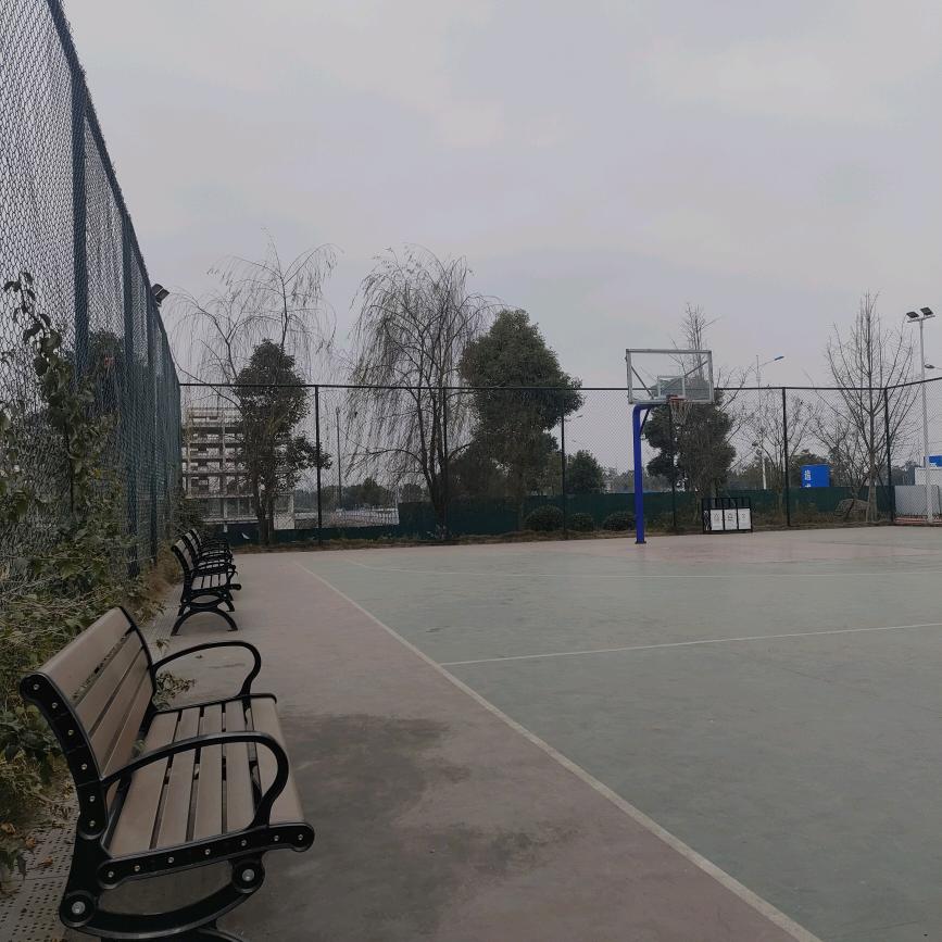 毛三哥