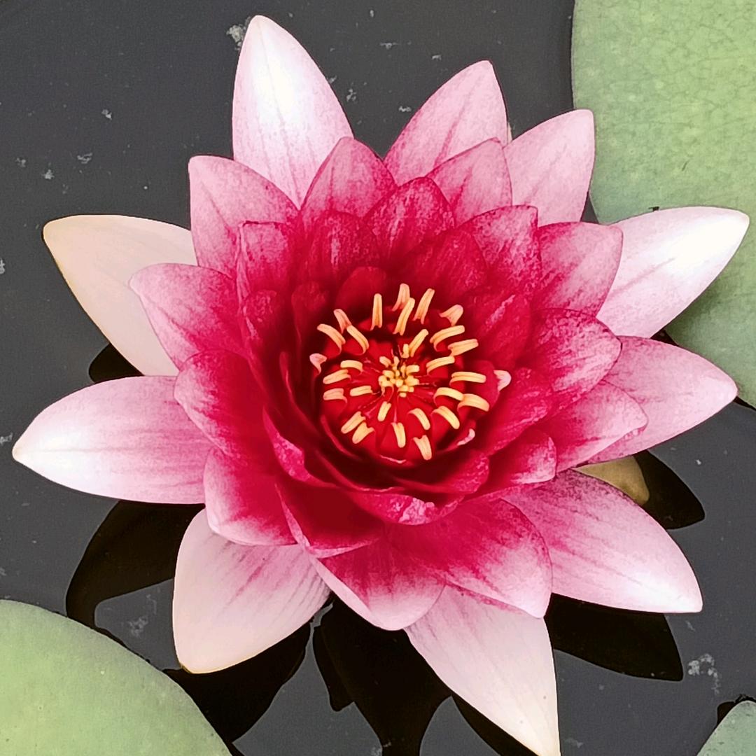 山水堪舆曹先生