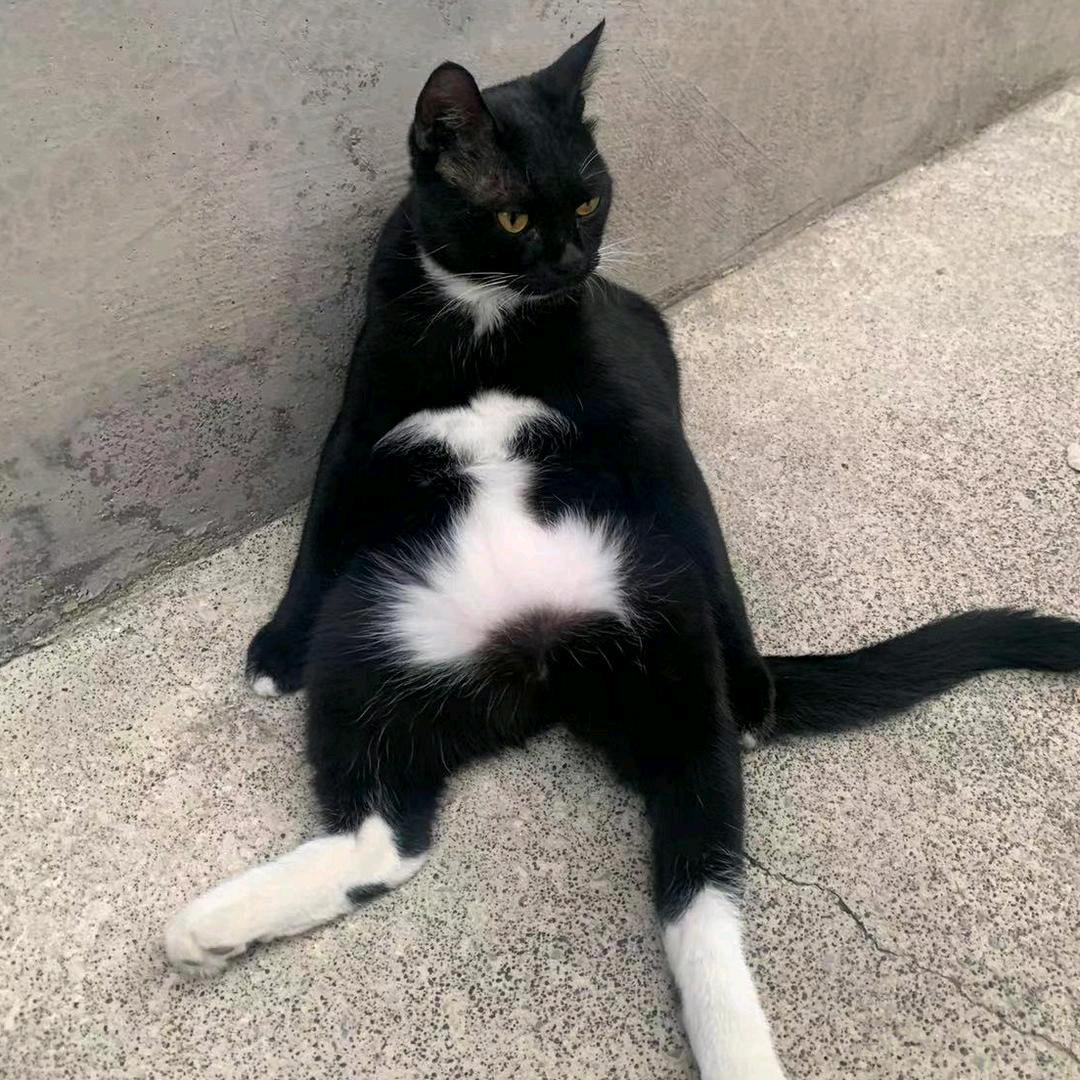 应心