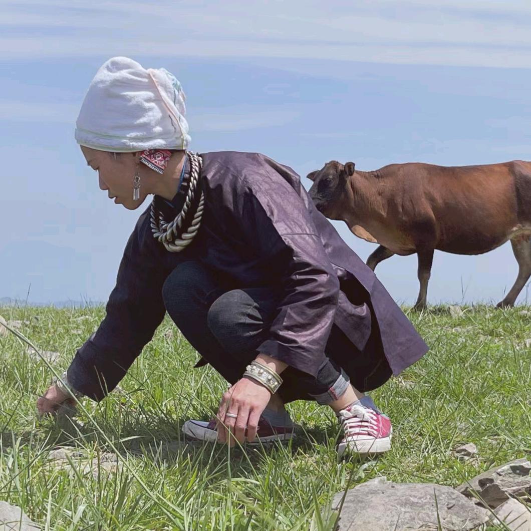 草苗人   酒妹  （橱窗有好物）