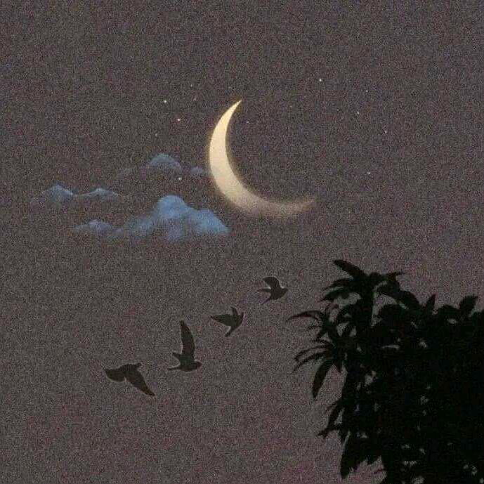 一颗小柿子