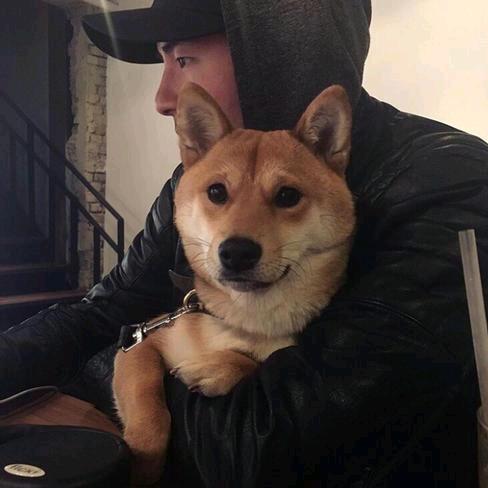 尘藏