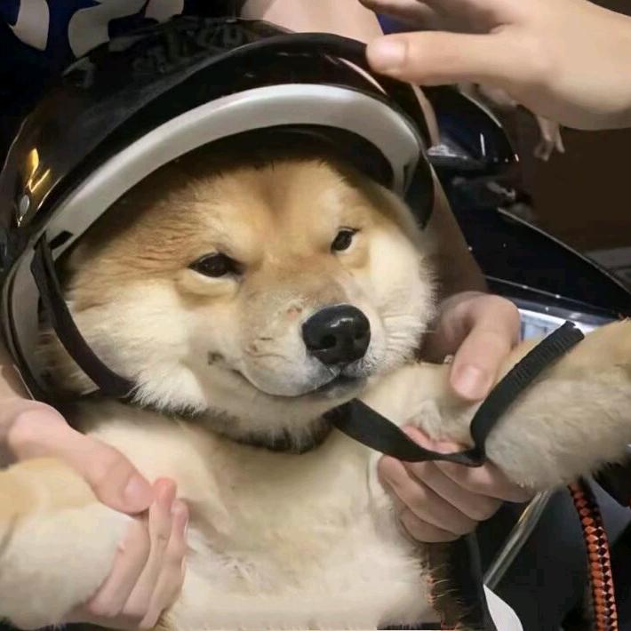 Solitude（自律版）