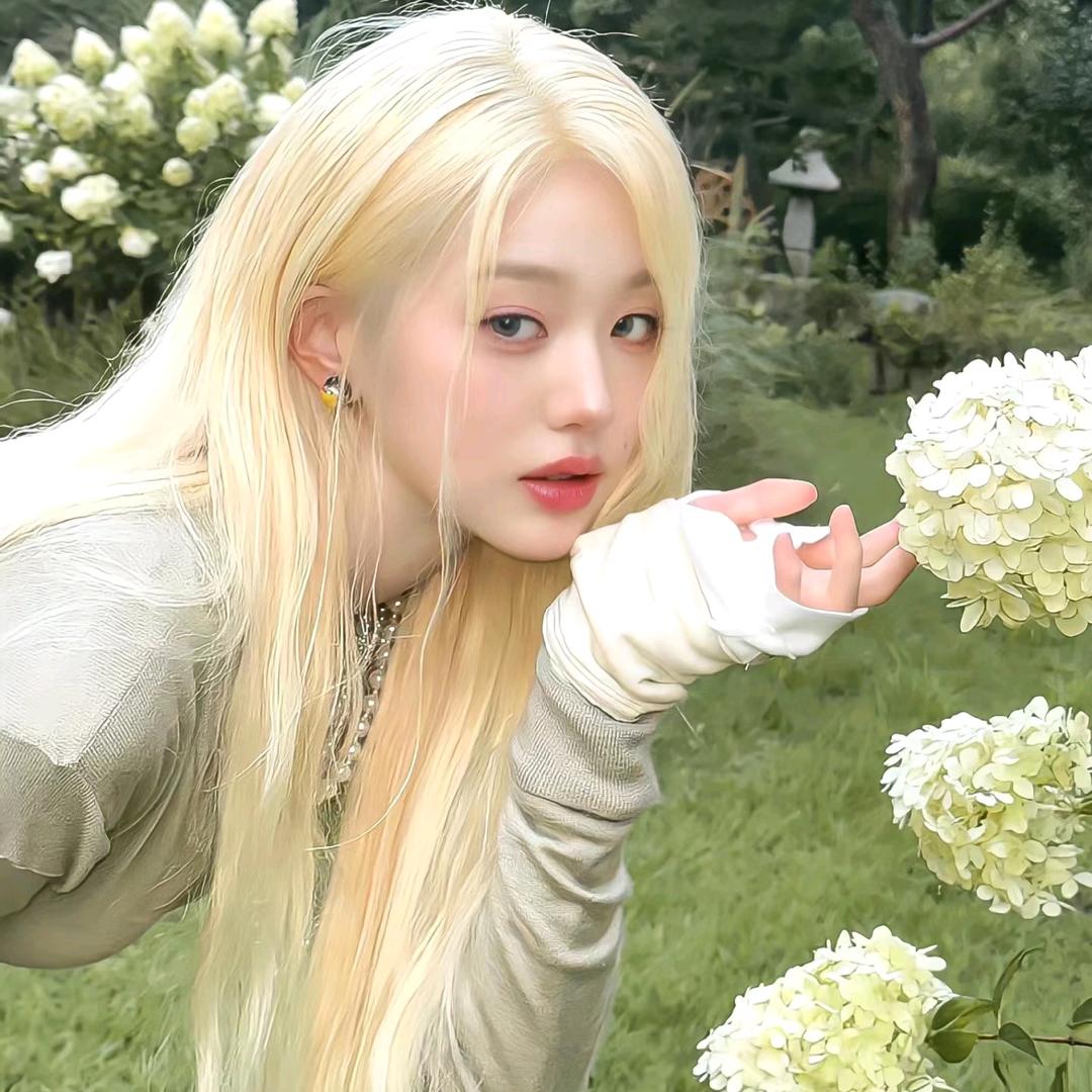 小猫的芭蕾梦.