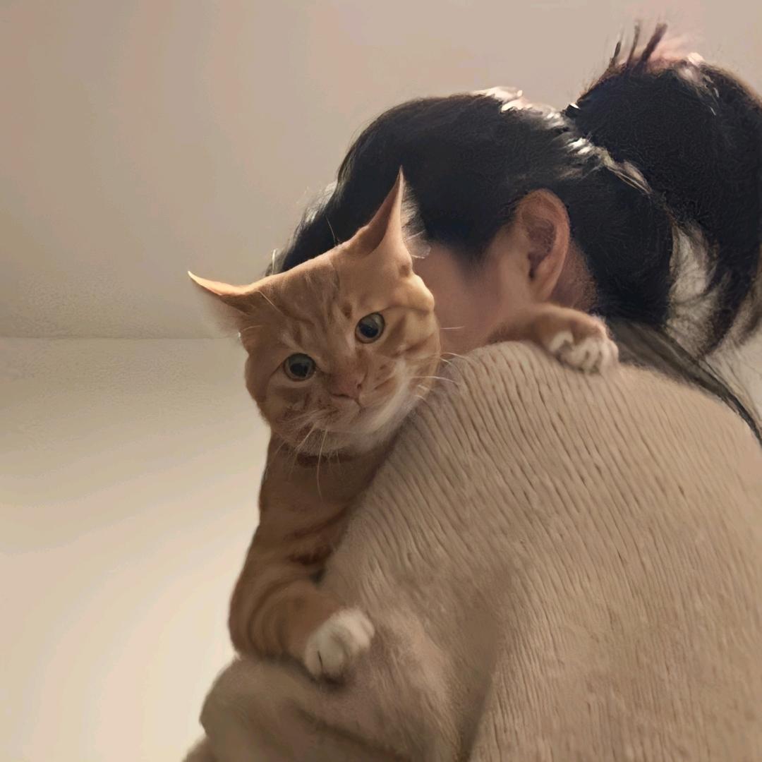 我想我是一个绿苹果