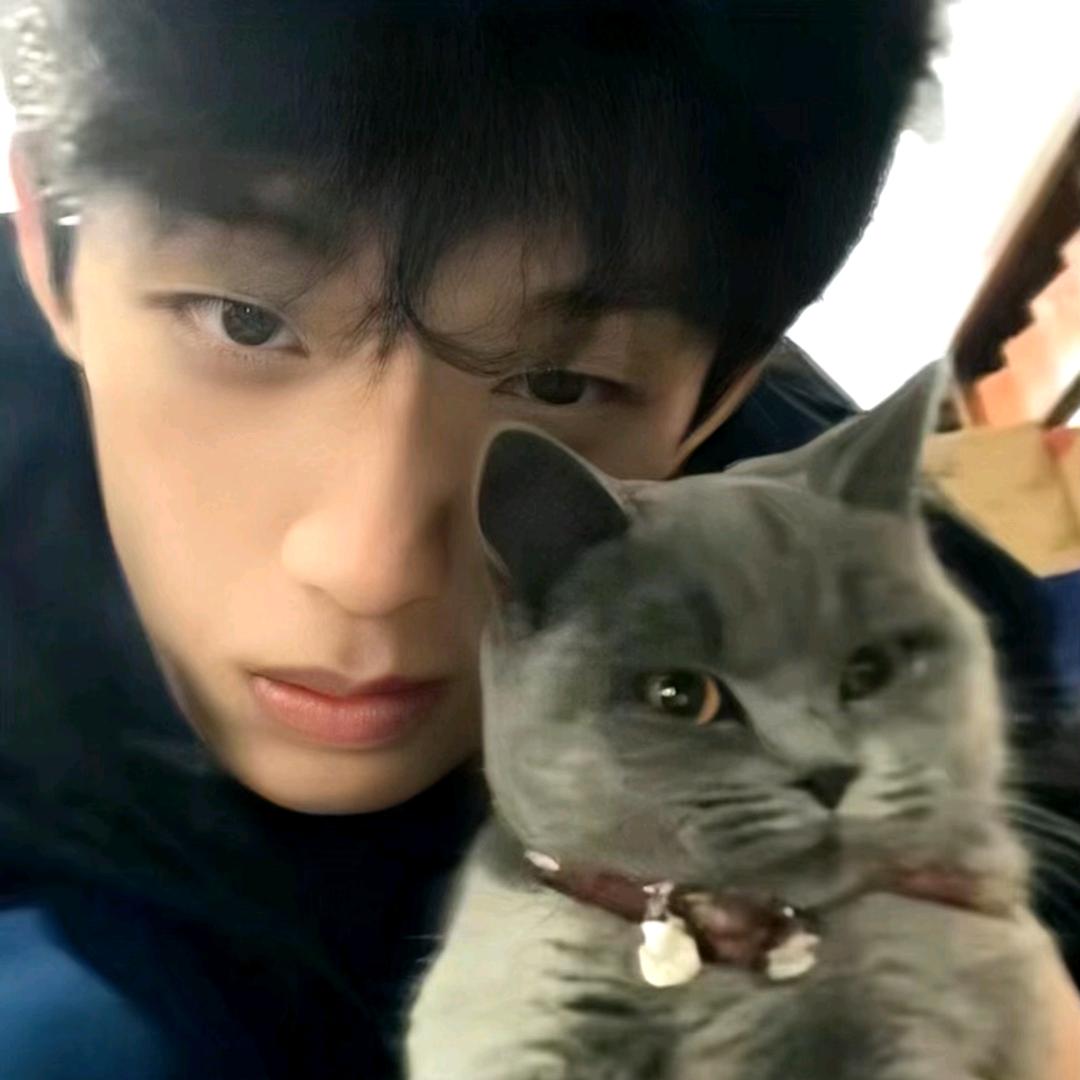 圆头圆脑还圆脸