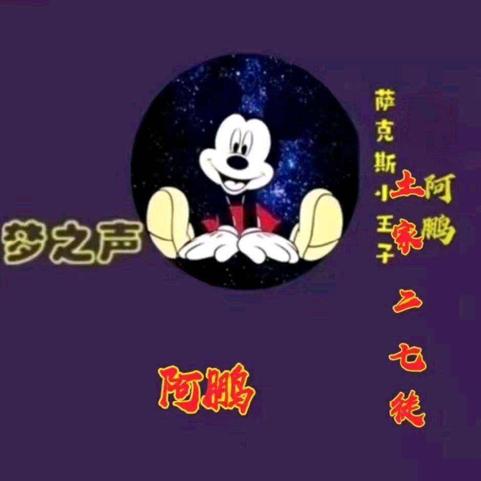 梦之声阿鹏