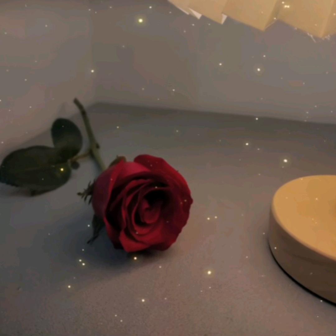 妆佰妍护肤养生