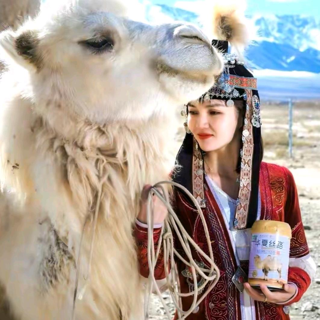 华夏丝路授权直播间