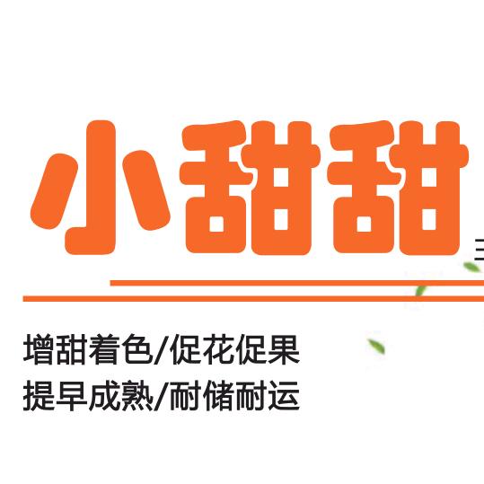 台湾小甜甜（采摘园的最爱）