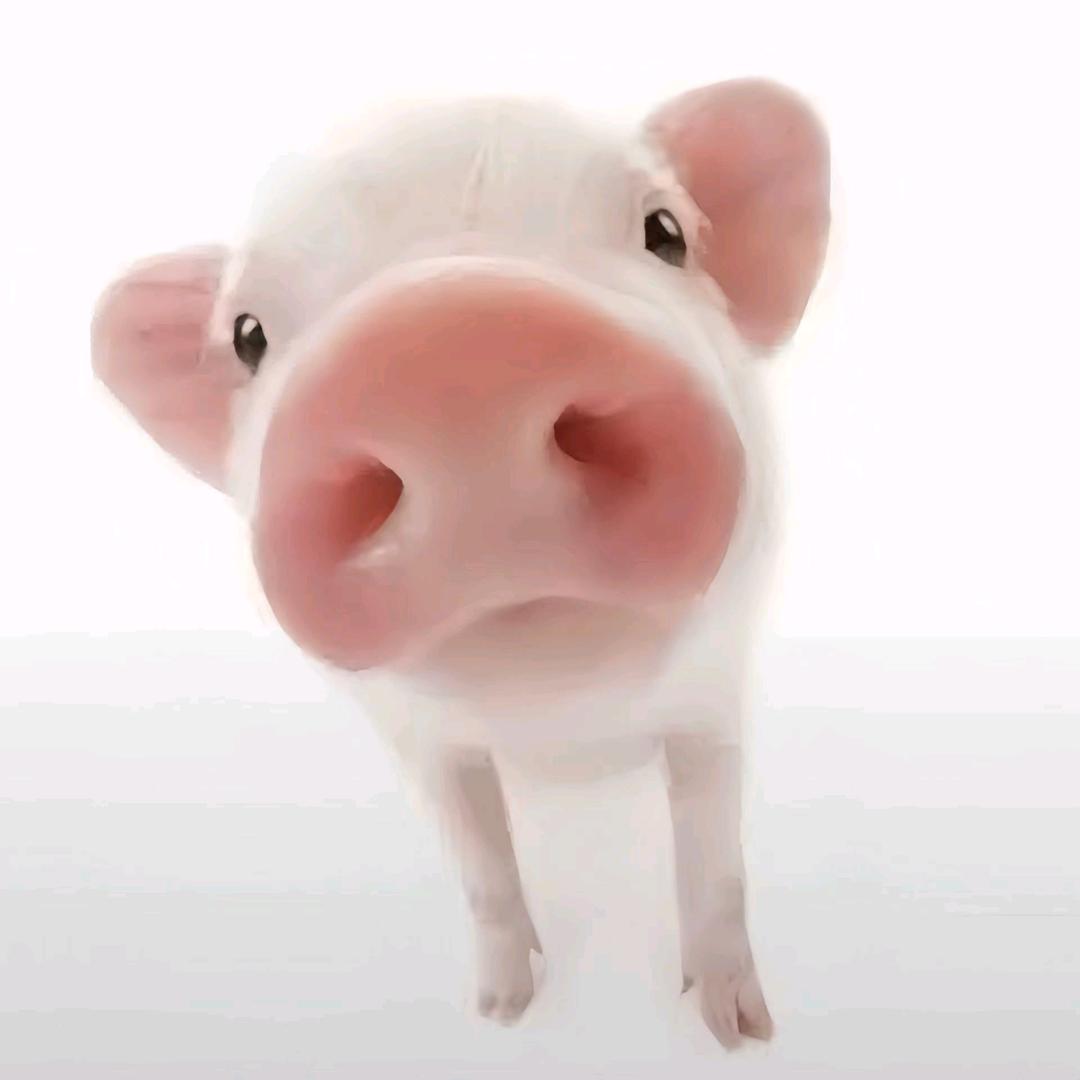 생각