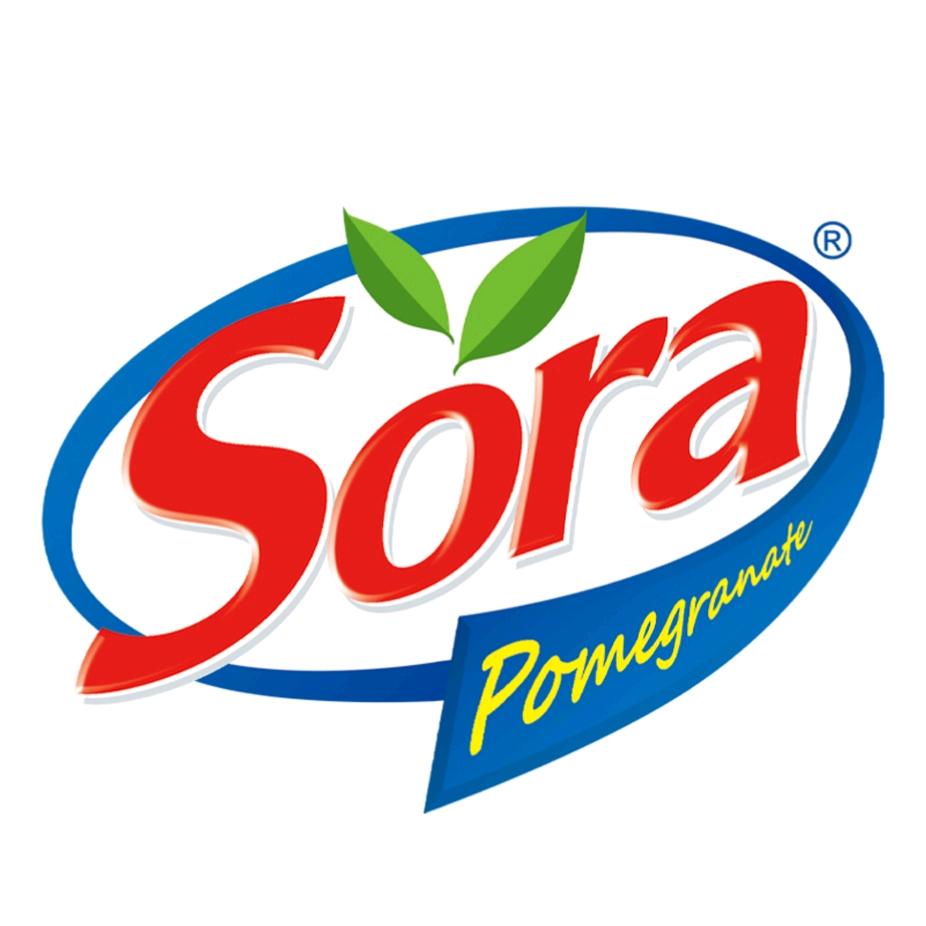 SORA索兰官方账号
