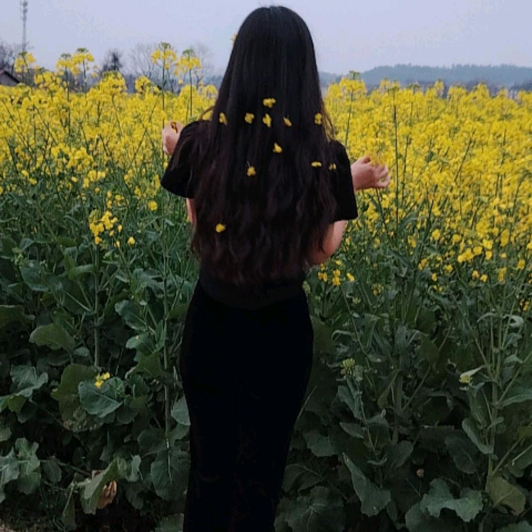 @琴