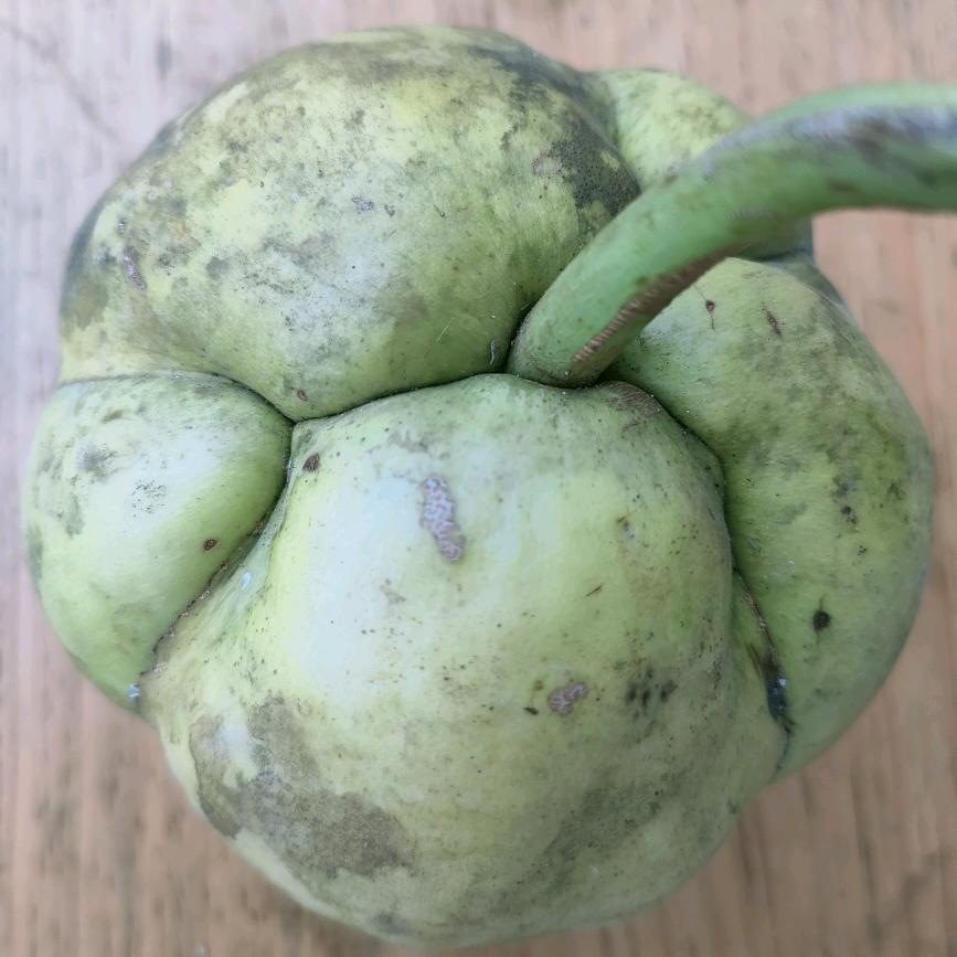 都挺好