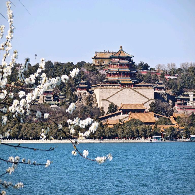 花小白