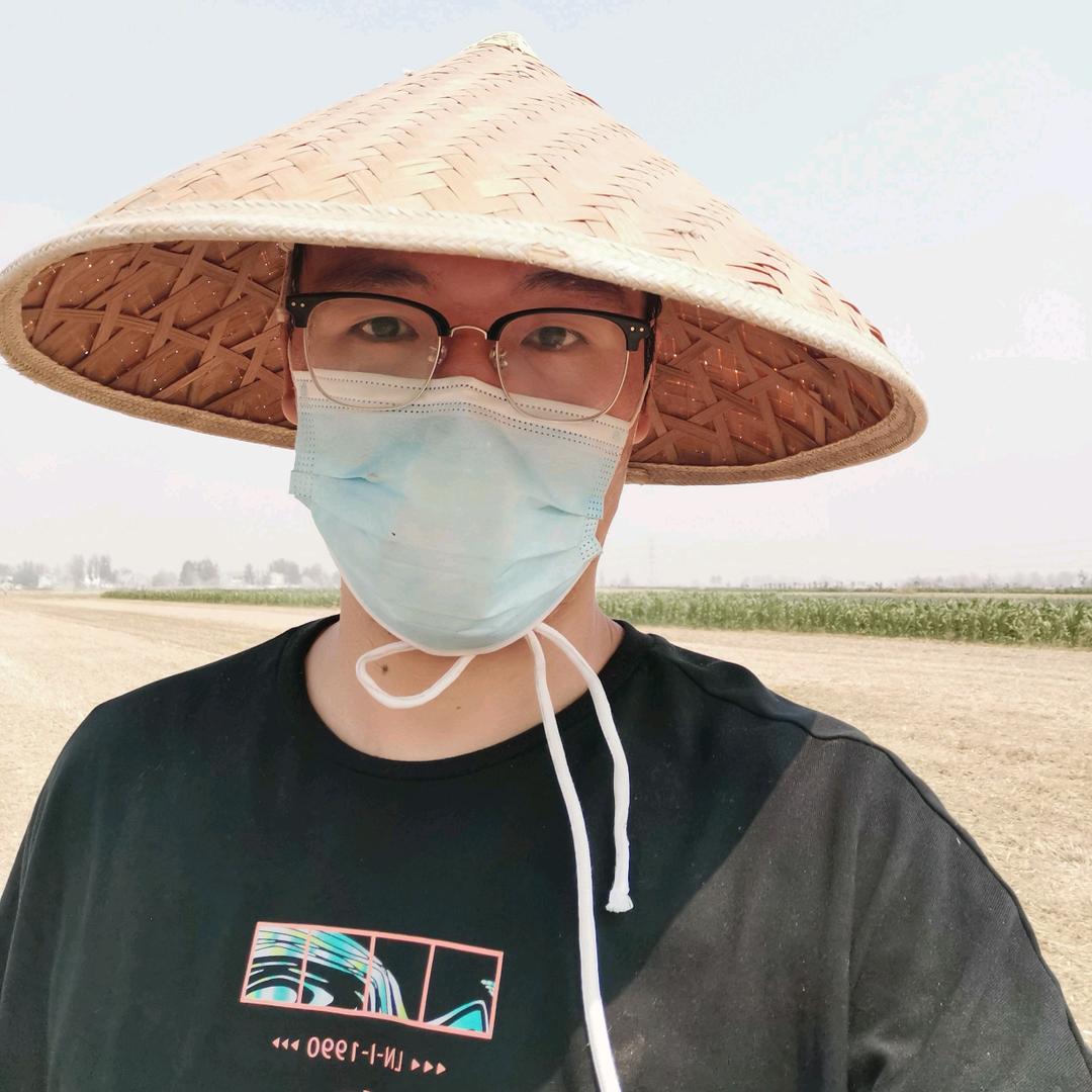 逗鱼